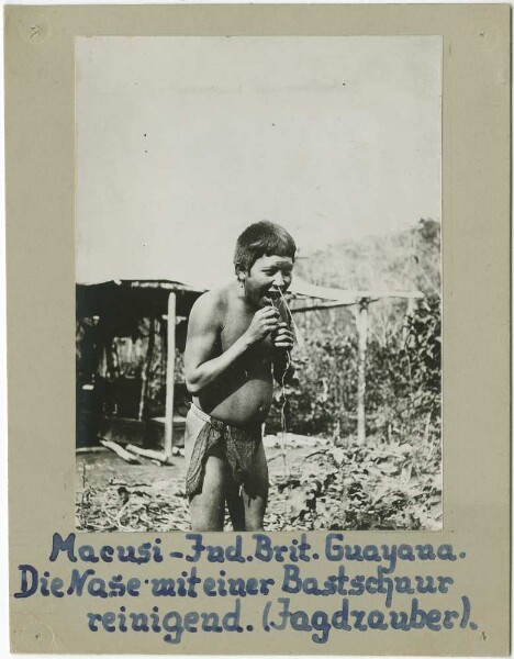 Macuxi Indians clean their noses with a bast string, which is said to be good for hunting.