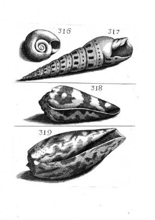 316. - 319.