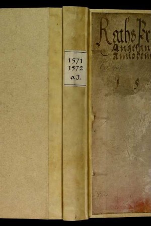 Ratsprotokolle, 1571 Juli 31. - 1572 Juli 27.