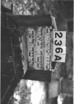 Grabstein 236 (Index: 99898664) Material: Sandstein, Marmortafel Zustand: durchgebrochen, Inschrift gut erhalen Maße HxBxT: 126x51x20 cm Beschreibung: aufgesockelte Stele mit Giebelaufsatz und eingelassener Schrifttafel, in der Mitte horizontal durchgebrochen, Oberteil lehnt am Sockel: Grabstein 236A