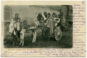Charette transportant des femmes arabes. [Postkarte]