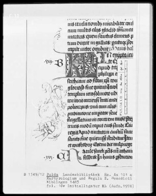 Martyrologium und Regula Sancti Benedicti — KL-Ligatur mit anschließender Ranke, Folio 16verso