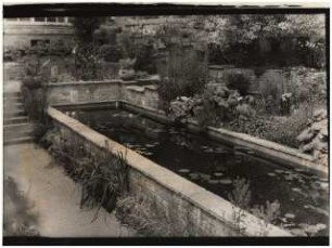 Garten Bergius, Heidelberg: Langes Becken