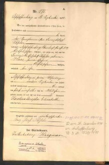Standesamtsbuch der Stadt Aschaffenburg: Geburten 365/1900 - 184/1901