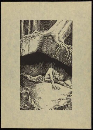 Wald und Höhle