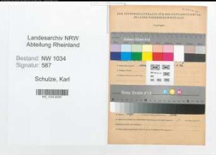Entnazifizierung Karl Schulze , geb. 04.08.1884 (Stabsintendant)