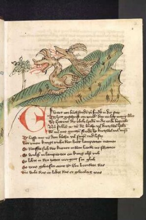 Die Drachen