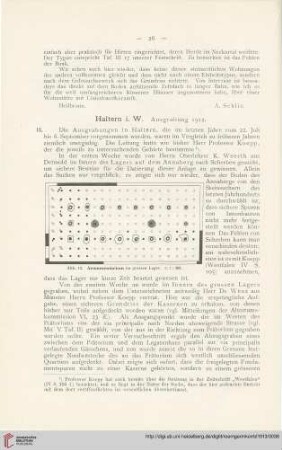 6: Haltern i. W. : Ausgrabung 1912