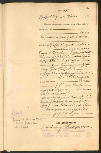 Standesamtsbuch der Stadt Aschaffenburg: Geburten 365/1900 - 184/1901