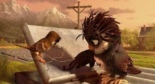 Überflieger - Kleine Vögel, großes Geklapper