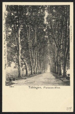 279, Tübingen, Platanen- Allee.