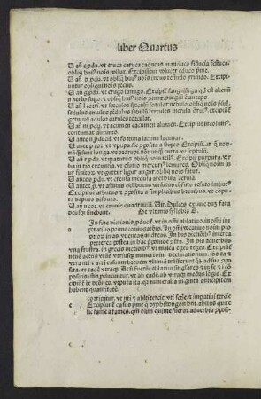 De ultimis syllabis A.