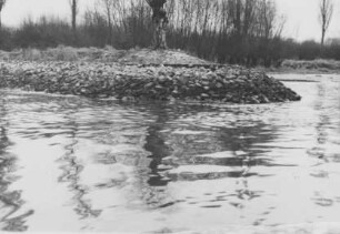 Buhne mit Steinvorwurf/Rhein