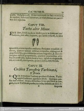 Caput VIII. Turbo alter Minor