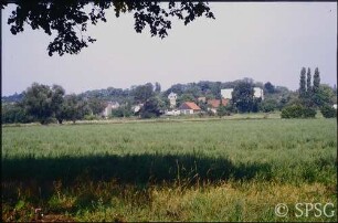 Potsdam, Eiche, mit Kirche.