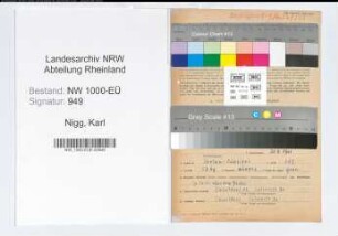 Entnazifizierung Karl Nigg, geb. 30.08.1901 (Betriebspruefer)