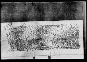 Peter Mayer von Bermaringen reversiert den Heiligenpflegern zu Sontheim für das Erblehen ihres Feldlehens zu Bermaringen.
