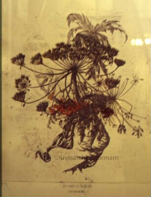 Ausstellung "Radierungen, Zeichnungen" von Jürgen Grenzemann: Radierung