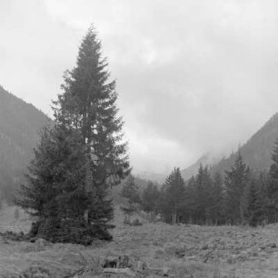 Landschaftsbild im Pirin-Gebirge