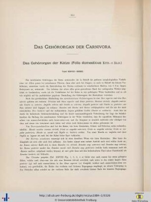 Das Gehörorgan der Carnivora.