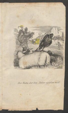 Der Rabe, der den Adler spielen will.