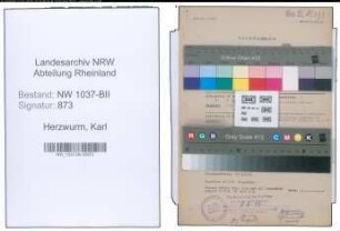 Entnazifizierung Karl Herzwurm , geb. 18.09.1892 (Verw.Inspektor)
