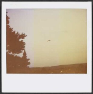 Landschaft mit Vogel