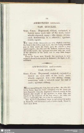 Ammonites multicostata. Tab. CCCCLIV