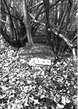 Grabstein 888
