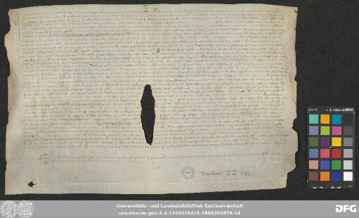 [Halle (Saale), Universitäts- und Landesbibliothek Sachsen-Anhalt, Morbio 22 (84)]