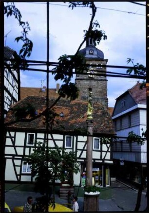 Buchen: Mariensäule und Turm, durch Rebstock