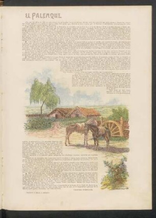 El palenque : Ilustración de Martín A. Malharro.