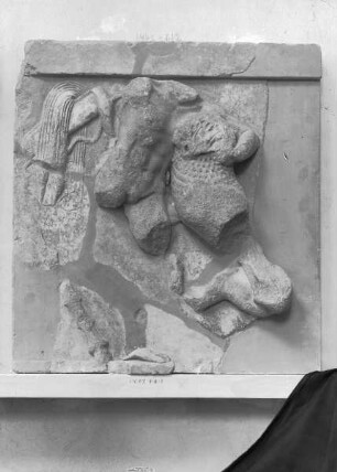 Metope: Herakles und der nemeische Löwe