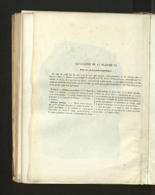 Pl. 72.