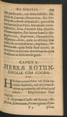 Caput V. Herbae Rotundifoliae Cum Cognatis.