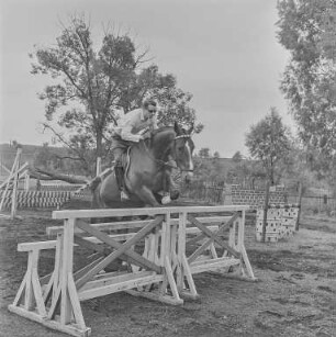 Reiter Strehla : Strehla. Reitsportanlage. Reiter und Pferd beim Hindernislauf