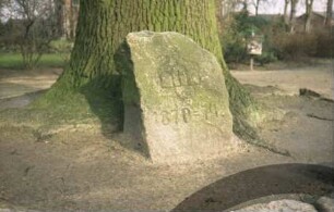 Kirchenweg: Dorfanger: Friedenseiche: Detailaufnahme: an Fuß Gedenkstein 1870/71
