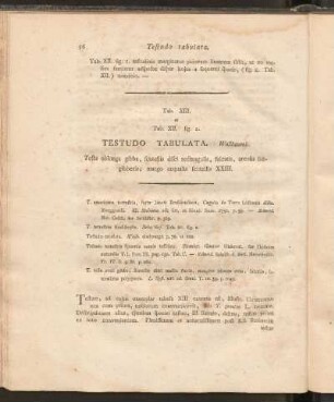 Tab. XIII et Tab. XII. fig. 2: Testudo Tabulata. Wallbaumii