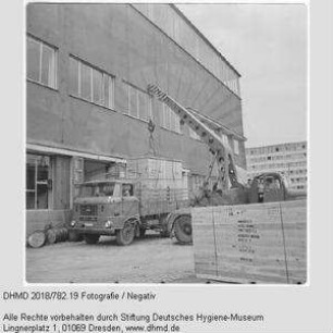 Verladen einer Gläsernen Kuh zum Transport nach Mexiko