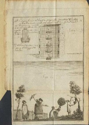 Illustration: Pl. IV.