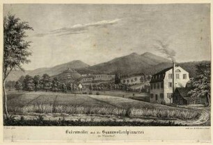 Badenweiler und die Baumwollspinnerei im Waisehof [= Waisenhof]