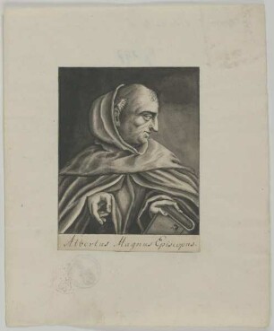 Bildnis des Albertus Magnus