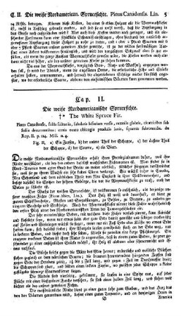 Cap. II. Die weiße Nordamericanische Sprucefichte. Pinus Canadensis.du Roy et Mill.