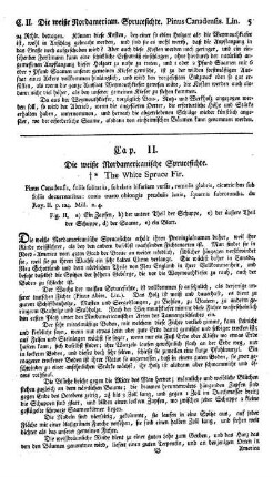 Cap. II. Die weiße Nordamericanische Sprucefichte. Pinus Canadensis.du Roy et Mill.