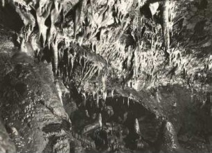 Vogtland. Syrauer Höhle. Tropfsteingebilde, sogen. "Schatzkammer"