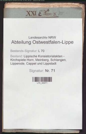 Akzidenzien (Gebühren) oder Stolrechte der Pastoren