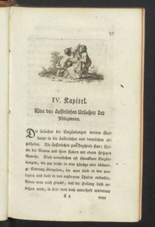 IV. Kapitel: Von den äusserlichen Ursachen der Phlegmone