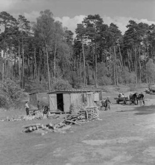Baustelle der Pionierrepublik "Wilhelm Pieck" am Werbellinsee : Arbeiter auf der Baustelle