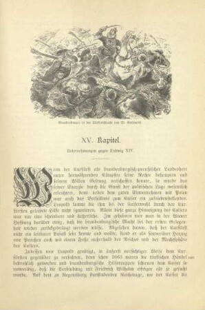 XV. Kapitel. Unternehmungen gegen Ludwig XIV