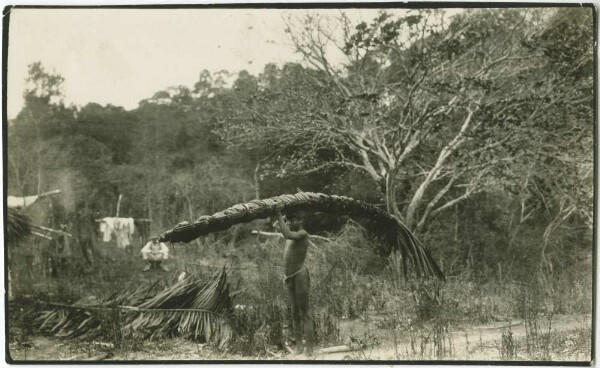 Patamona Indians bring palm leaves home to cover the roof